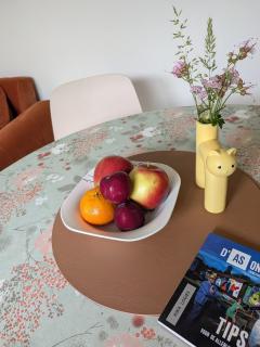 Aska Logies vakantiewoning - 4