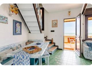 la farfalla blu sul mare - 4