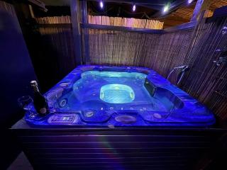 Private wellnes lodge with jacuzzi ,sauna and garden between Amsterdam Haarlem and Schiphol Airport - 6