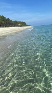 Les pieds dans l eau de Betty Ghisonaccia plage 50 m - 0