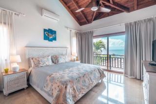 Amazing villa with private pool and ocean view at Samana -  - 8