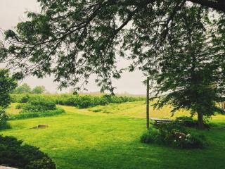 Orchard Haven - 0