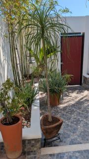 Studio-Habitacion - 7