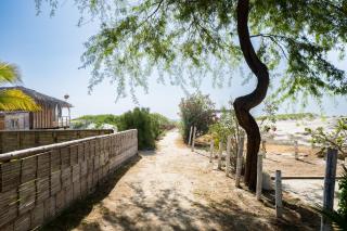 Organos - Dunas del Norte by Vibrant - 8