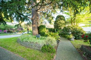 Crown Garden House - 6