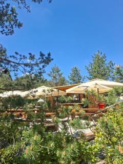 Maglian Forest Retreat - 1