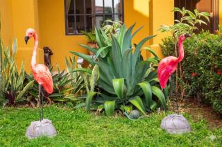 Tamarindo Village - 7