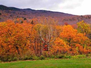 River View Studio with New Kitchen and Pool near Loon Mountain - 4