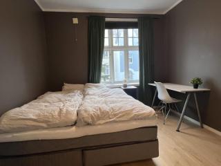 HH40 - 2BR Sunny Terrace Apartment in Bergen - 9