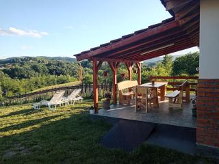 Kućica za odmor Treće nebo - Tršić - 1