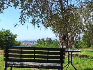 Whisper of Olives - 5 Min Drive to the Old Town, Bar - 8