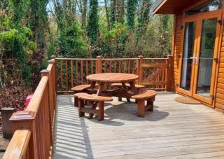 Devon Comfort Lodge with Hot Tub - Spa Resort in Devon - 9