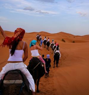 Elite merzouga dunes camp - 6