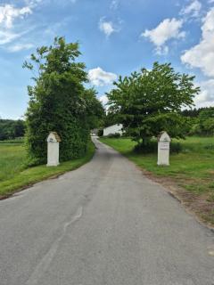 Tranum B&B - 8