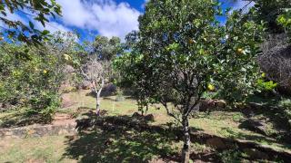 Ntsaba View - 3