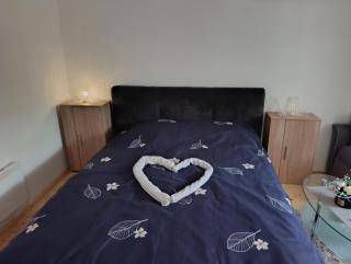 Apartman Milan - 0
