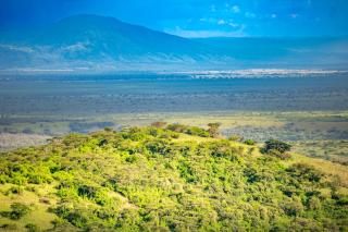 Equator Lodge & Campsite - 5