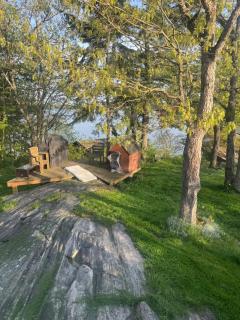 Pickerel Point - 5