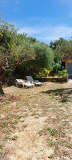 Le Cocon Provencal - 7