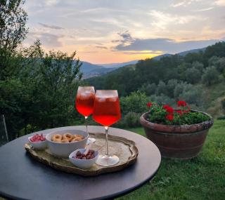 Casa Vacanza con Piscina 20 minuti da FIRENZE - 6