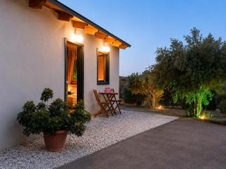 Olive Grove - 0