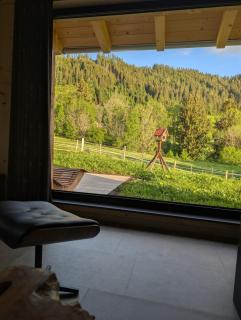 Chalet Berg & Balance - Whirlpool, Natur, Auszeit - 6