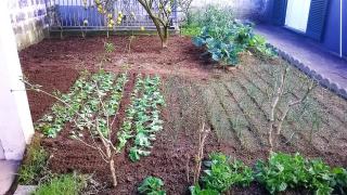 Pedro Sousa Rooms na Relva - 2