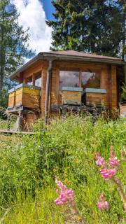 Appartamento LA REGINA un dolce rifugio tra api e natura - Tret - 2