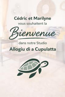 Studio Allogiu Cupulatta belle piscine proche plage - 7