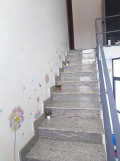 Butterfly Room - 7