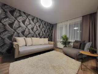 Newly Renovated Apartment - 0