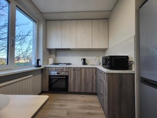Newly Renovated Apartment - 5