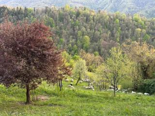 Apartma na podeželju - Slovenia Nature - 9