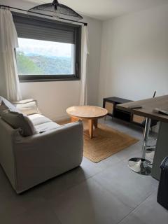 Appartement T2 corte - 1