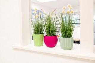 La Maison POP I Parking gratuit I Amiens centre I 6 personnes - 1