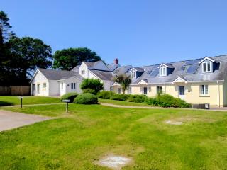 Sunflower Apartment, recently renovated stylish dog-friendly two bedroom apartment near Tenby with outdoor space - 0