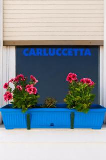 B&B Carluccetta - 2