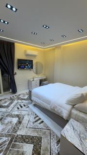 Cozy Studio with luxurious furniture in a central location - 1