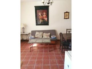 Expansive Apartment with Private Pool - 4