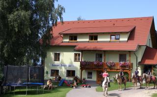Bauernhof Pension Juri - Obergösel - 0