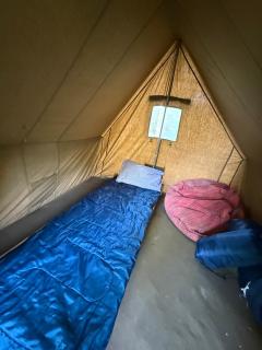 Red Era Glamp - 4