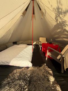 Pine Nest Glamping - 4