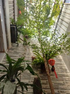 Seashine Homestay - 8