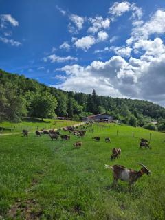 Le temps d'une pause bed and breakfast - 8