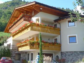 Obermoarhof Ifinger - 9