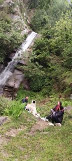 Pachamama Hotels- Vashisht - Manāli - 9
