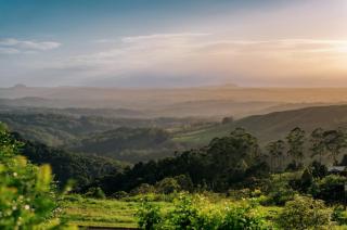 Maleny Terrace Cottages - 3