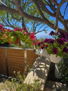Wind Apartment in Agia Roumeli - 3