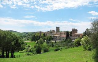 Villa ELISA - appartamento nel cuore del Chianti - 6