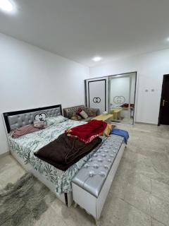 Private Studio in Al Sarooj, Al Ain - 4
